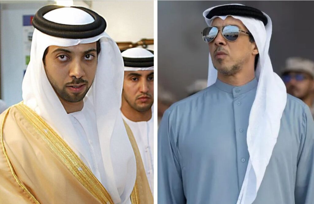 sheikh mansour bin zayed al nahyan